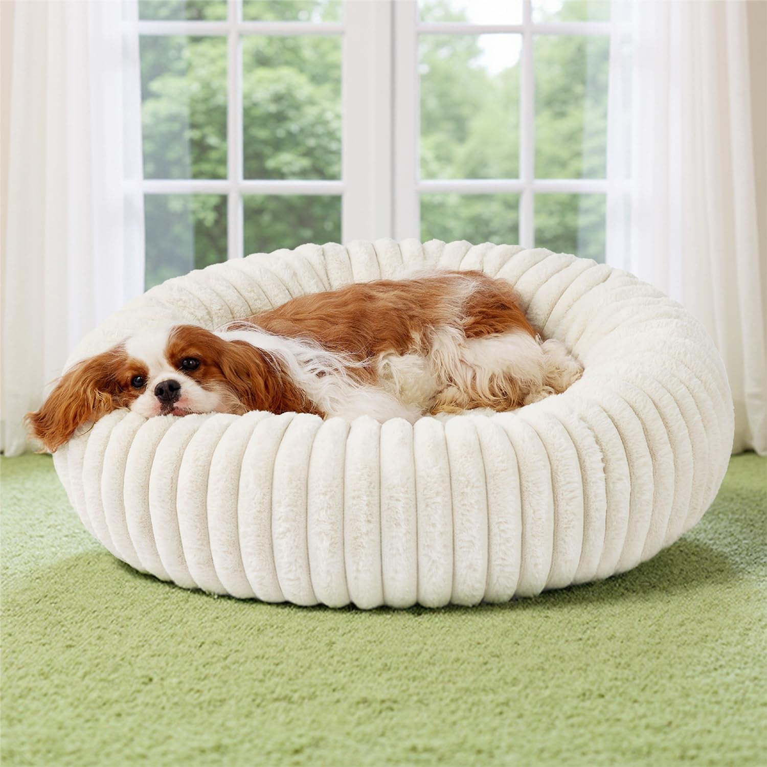Bedsure Donut Medium Dog Bed 30X30X8 Inches with Waterproof Dog Blankets for Medium Dogs 30"X40", Cream
