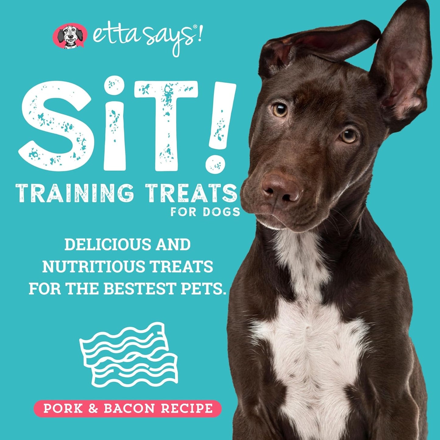 Etta Says! Training Treats - All Natural Pork and Bacon Soft Treats for Dogs - Made in the USA (16 Oz Pack of 1)