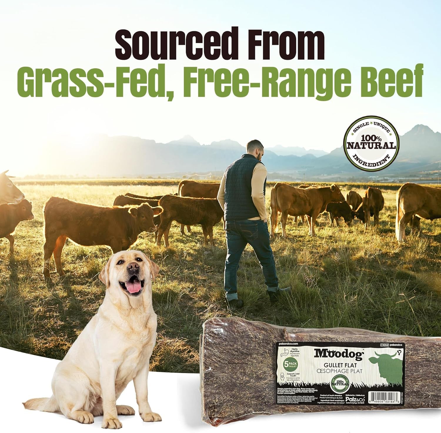 Palz&Co Moodog Beef Gullet Strips 8" for Dogs - High-Protein Chews, Supports Joint Health and Dental Hygiene, Easily Digestible, 5-Pack