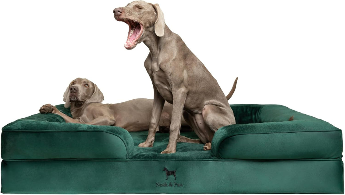 NOAH & PAW Giant Dog Bed XXL, 55X45X11 Inch, Orthopedic Dog Beds, Eggshell Memory Foam Infused with Cooling Gel, Inner Cover, Water Resistant, Machine Washable