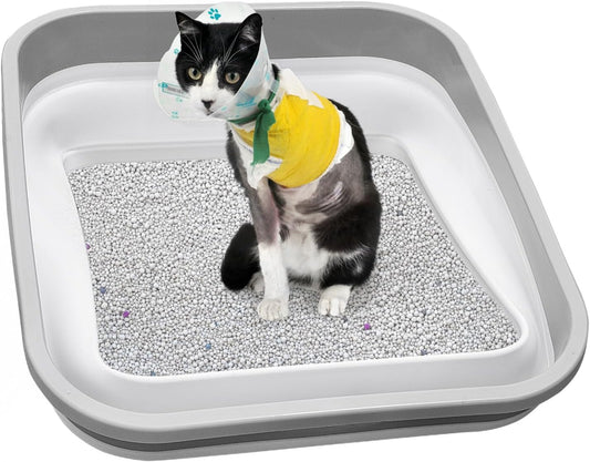 Low Entry Collapsible Plastic Open Cat Litter Box,Portable and Easy Clean