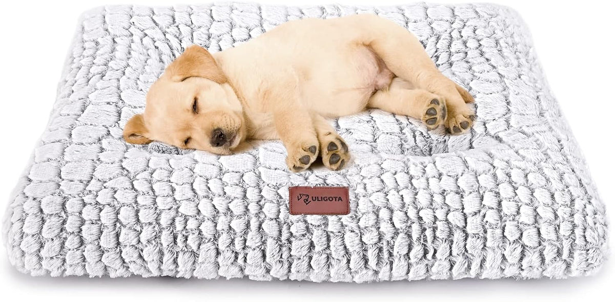 Small Dog Bed Crate Bed for Small Dogs 24"X18" Dog Bed Mat White