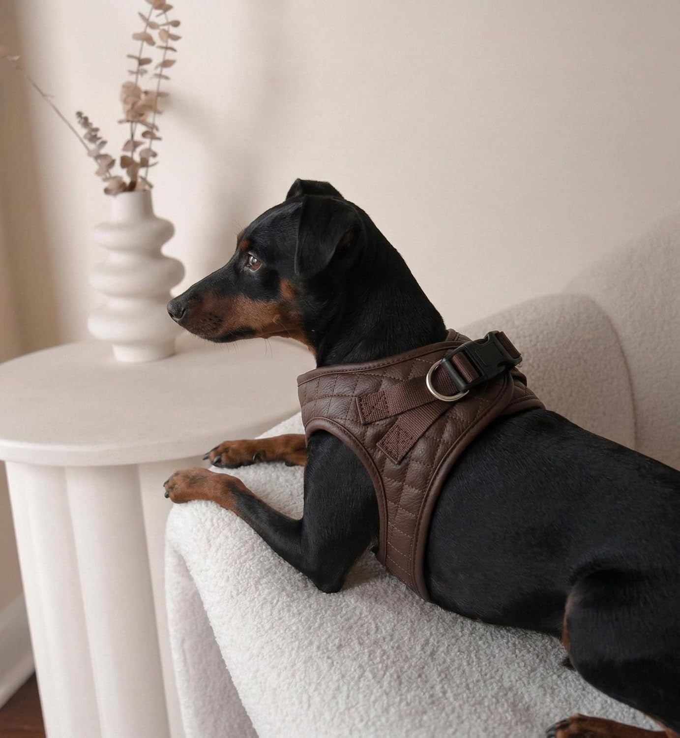 Step in Dog Cat Harness Choke Free Escape Proof Pet Vest Quilted Vegan Leather Breathable Mesh Padded for Small Medium Dogs (Chocolate Brown, Large)