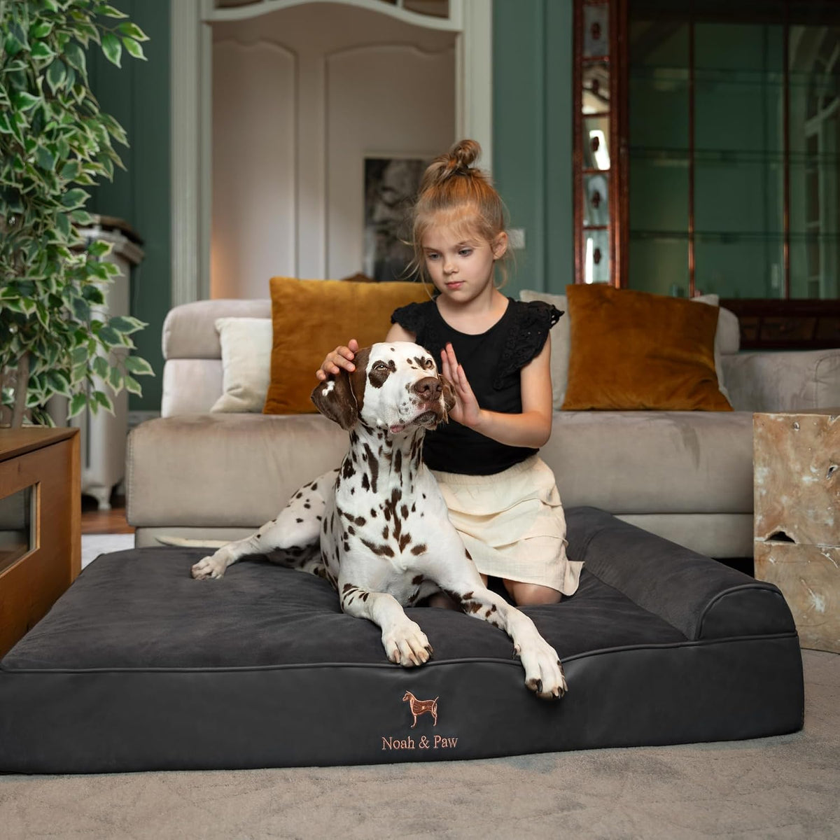 NOAH & PAW XL Dog Bed, 45X35X9.1 Inch, Orthopedic Large Dog Beds, Eggshell Memory Foam Infused with Cooling Gel, Water Resistant, Machine Washable, Includes Inner Cover