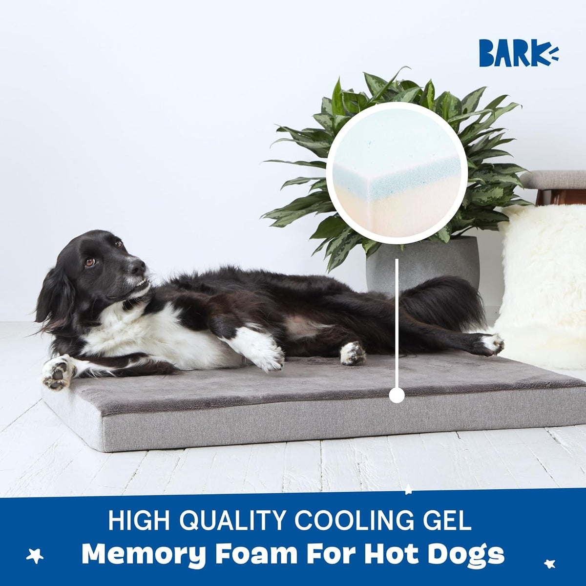 Barkbox Orthopedic Dog Bed - Large