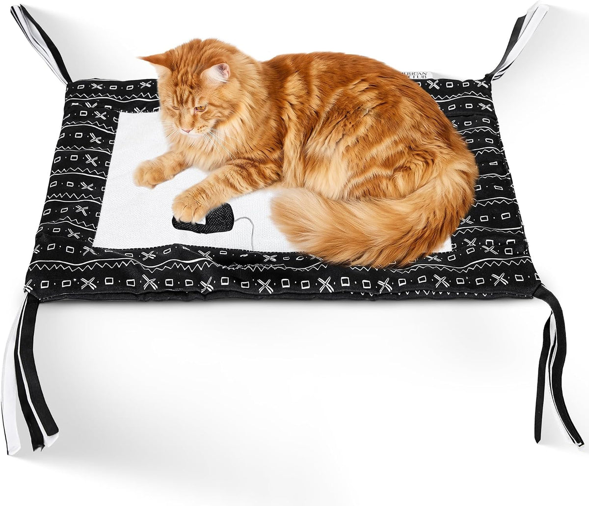 American Cat Club Reversible Crinkle Cat Mat with Mouse Toy, 18" X 13"