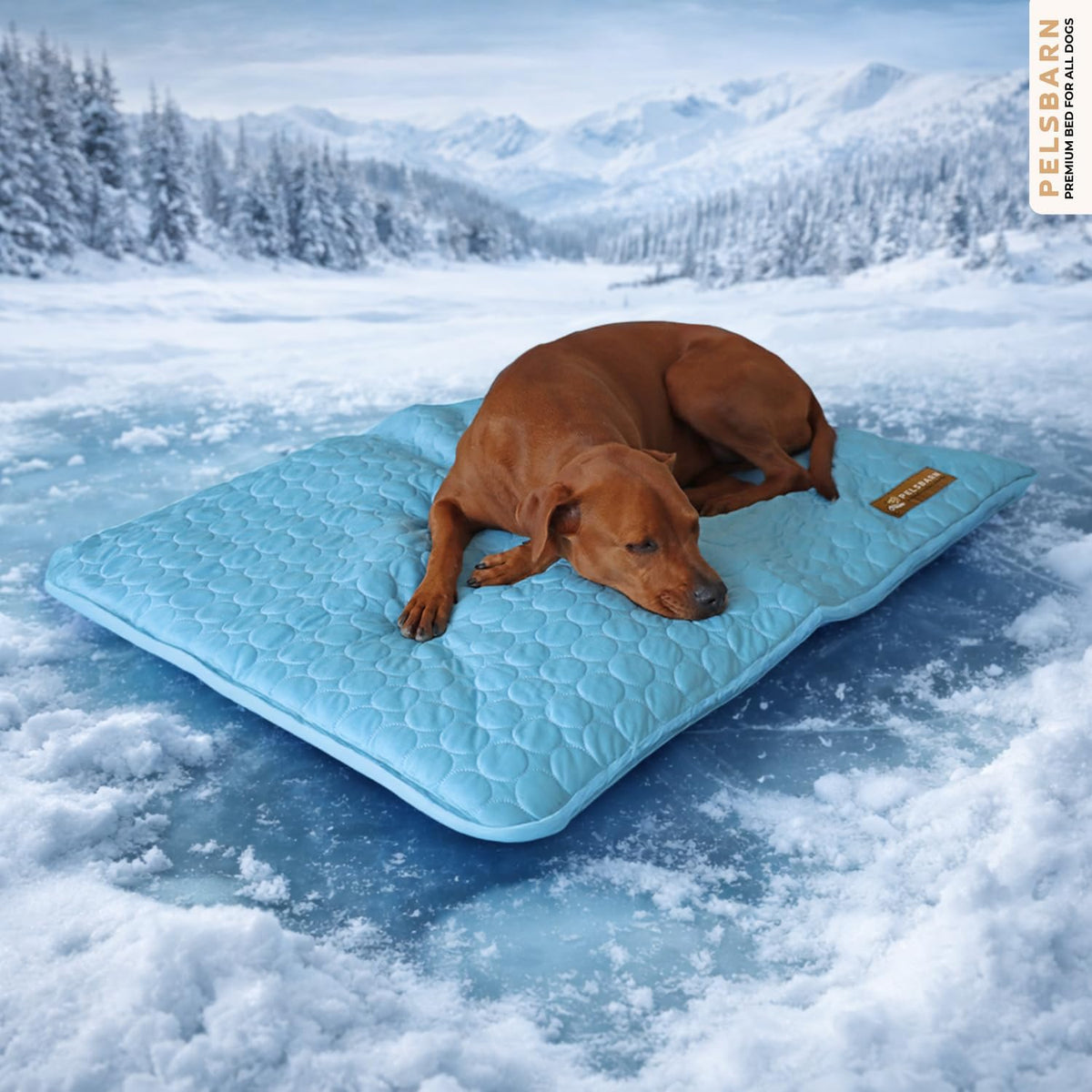 Pelsbarn Dog Cooling Mat, Ice Silk Self-Cooling Pad, Light Blue, L