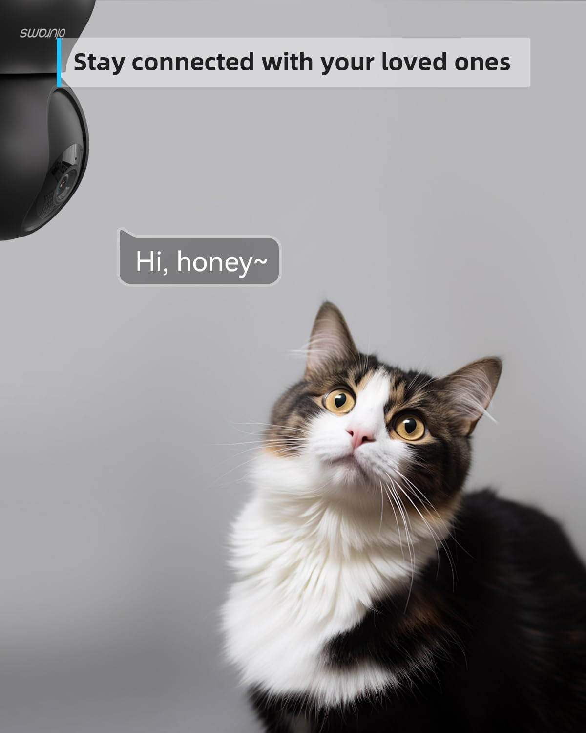 Blurams 5G Indoor Cameras for Home Security, 2K Pet Camera with Phone App, 360° PTZ Home Cam W/Dual-Band Wifi6, 2-Way Talk, Free Human/Sound Detection, Motion Tracking, Night Vision, Works with Alexa