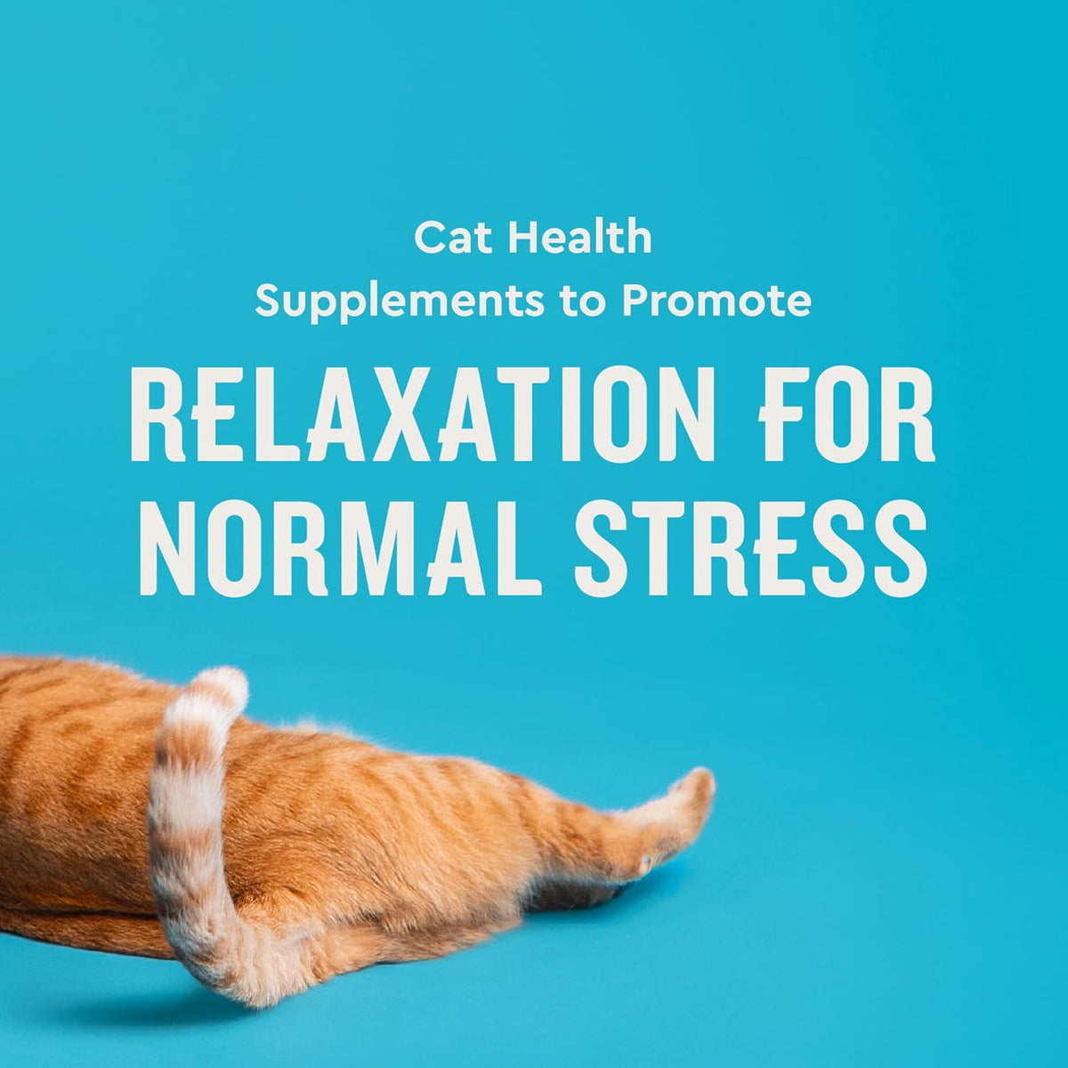 Vetiq Cat Calming Treats, Melatonin & Ashwagandha, 3.7Oz