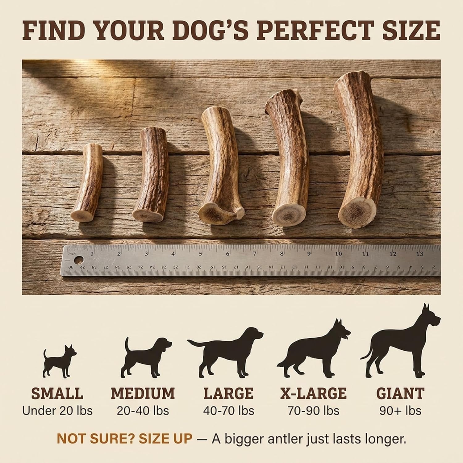 Heartland Antlers Deer Antler Dog Chew Large 6-8 Inch, Naturally Shed Rawhide Alternative 45-65 Lbs, Veteran Owned USA Sourced Grade A, Odor Free No Mess Splinter Free
