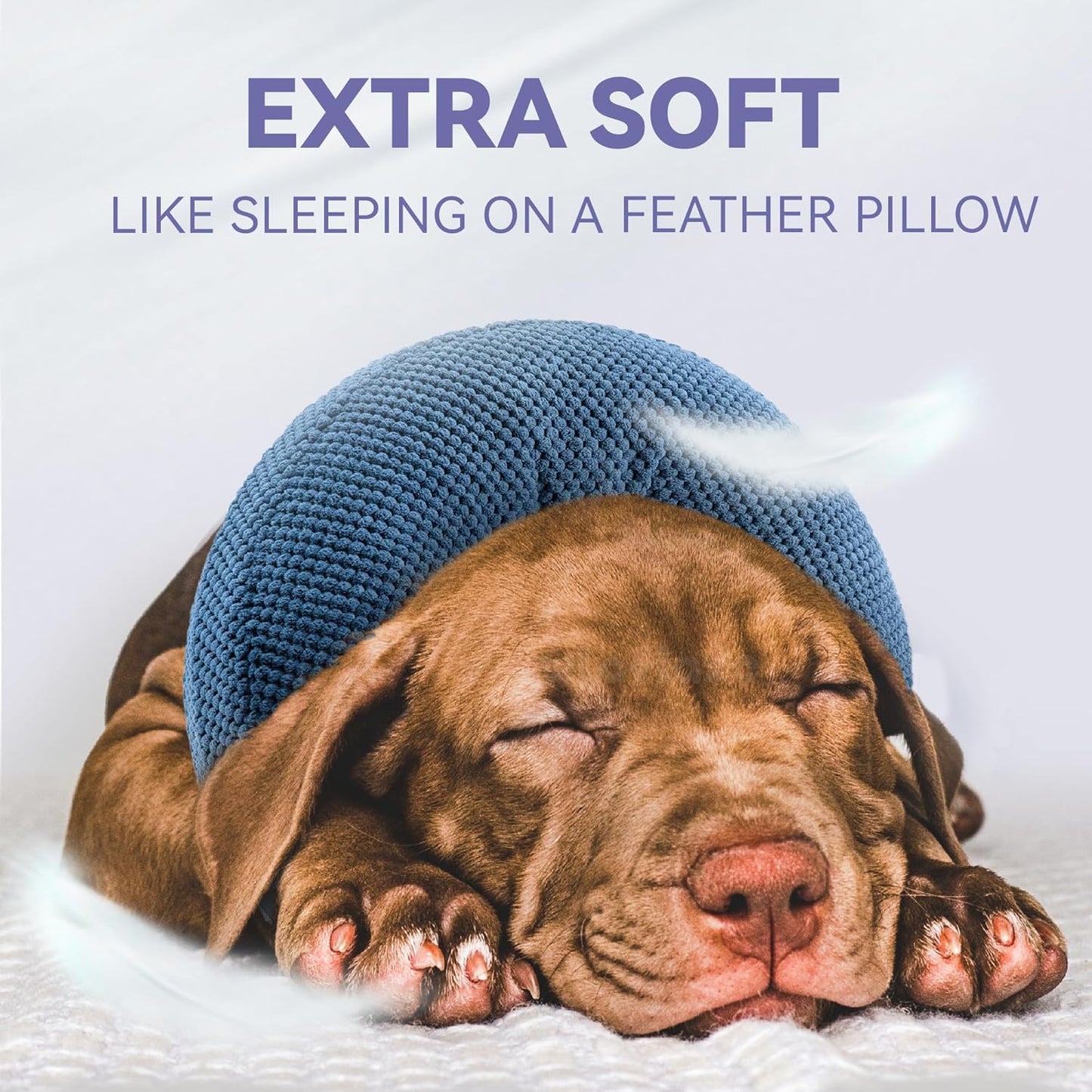 Loflaze Inflatable Dog Cone Collar - Dog Neck Donut Cone Collar Alternative after Surgery - Soft Cone for Large Medium Small Dogs Cats - Alternative Recovery E Collar (Blue, M)