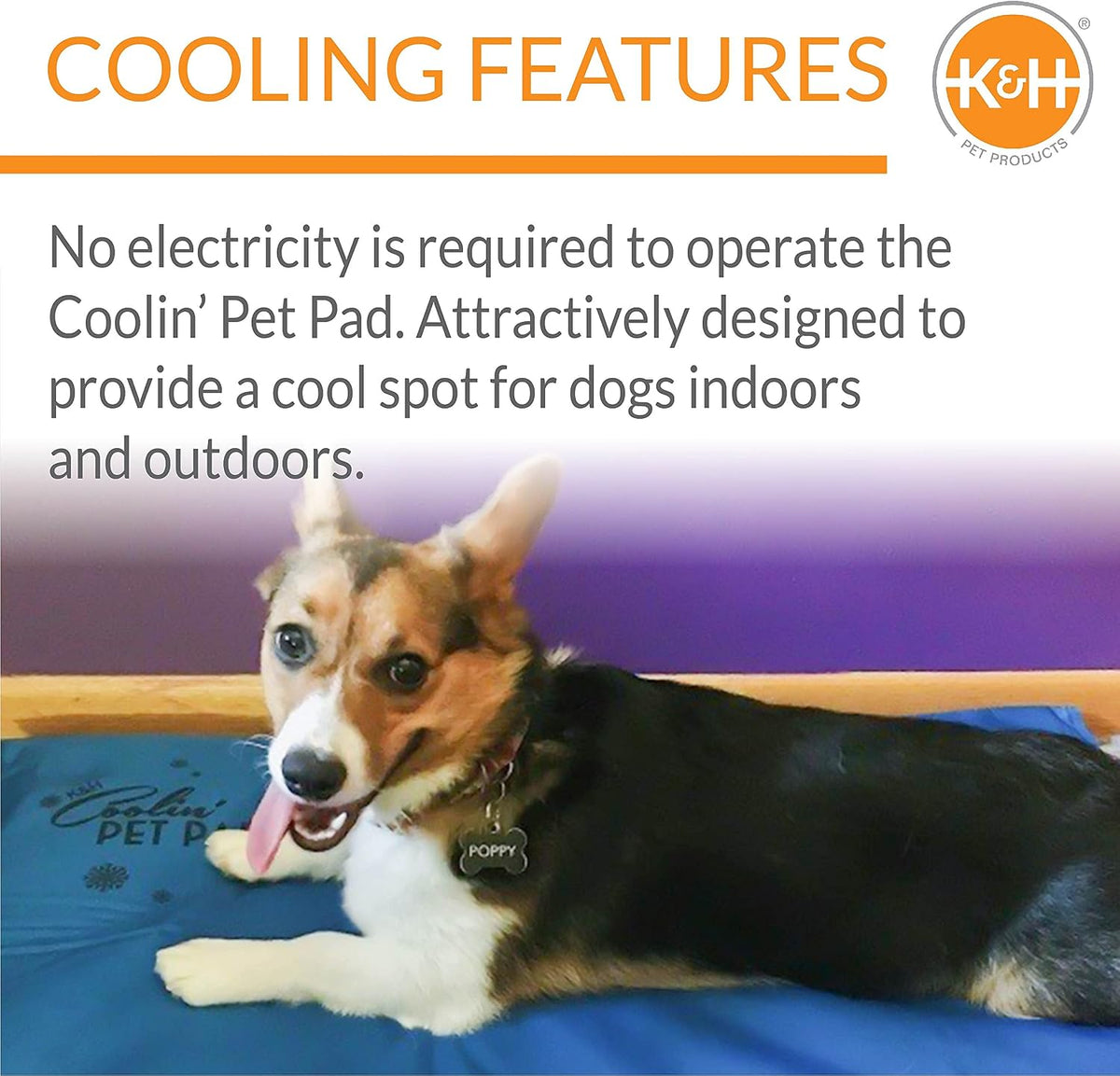 K&H Dog Cooling Mat, Coolin' Pet Pad - Medium 20X15In Chill Blue