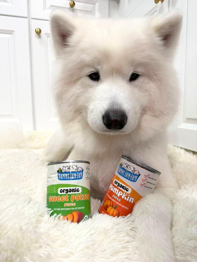 Nummy Tum Tum Organic Pumpkin for Dogs & Cats, 15 Ounce (Pack of 12)
