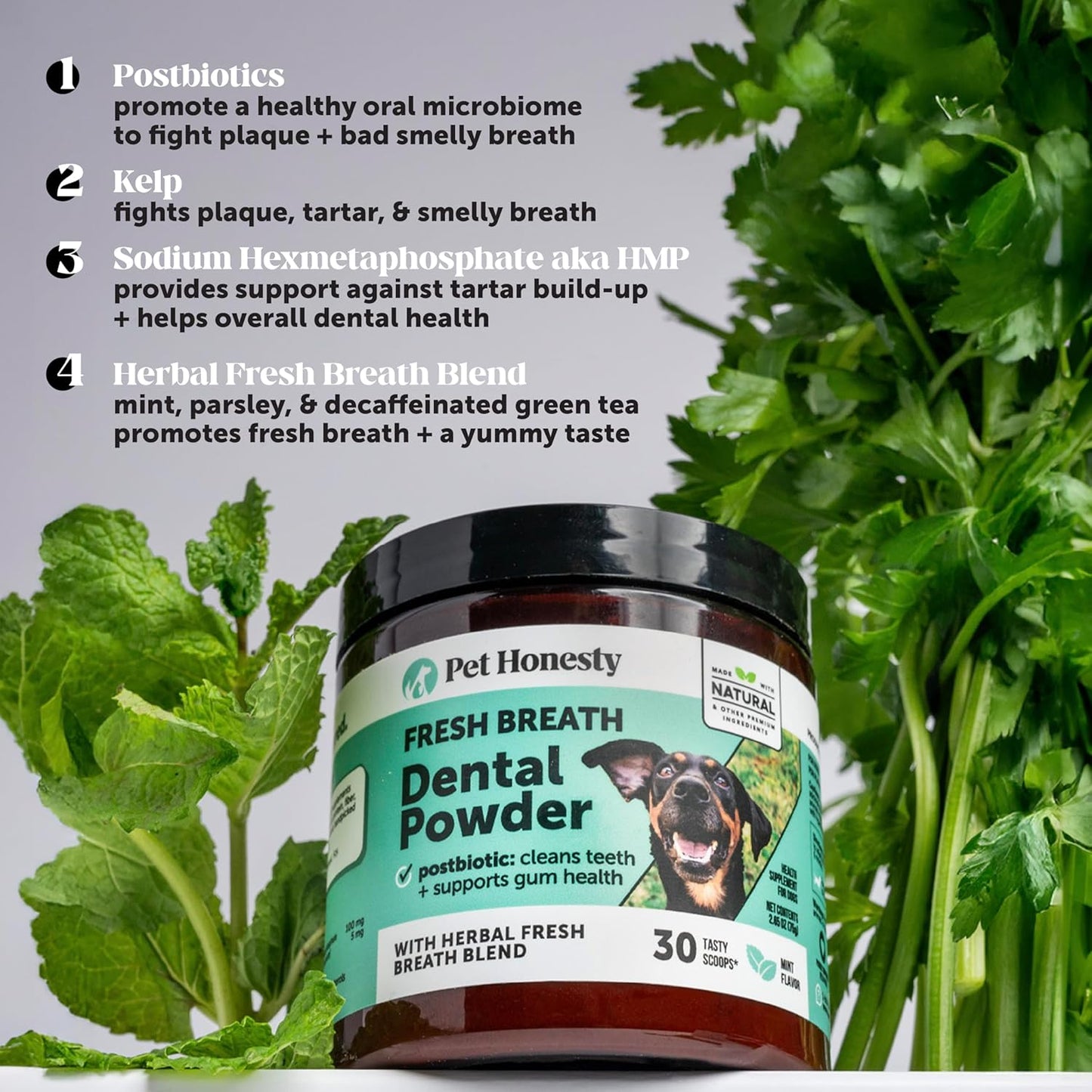 Dog Breath Freshener Dental Powder - Teeth Cleaning Plaque off + Tartar Remover for Dogs - Care Supplement Food Topper with Kelp, HMP + Postbiotics for Healthy Gums - Mint Flavor (30 Servings)