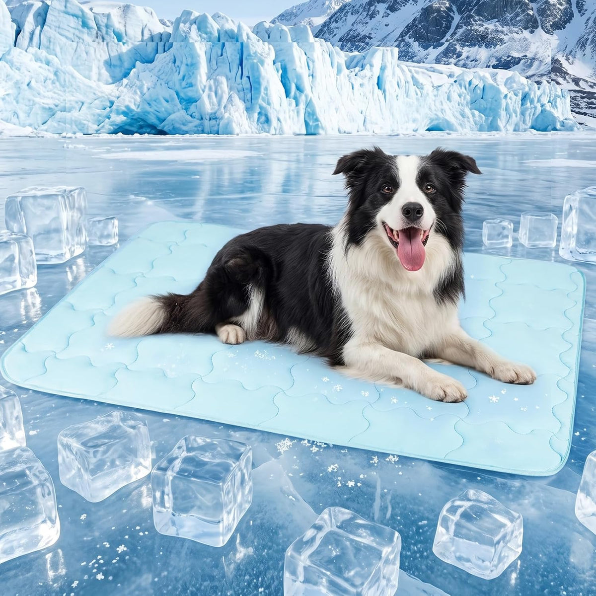 Dog Cooling Mat 30X48In Blue Q-MAX>0.5 Non-Slip Self-Cooling