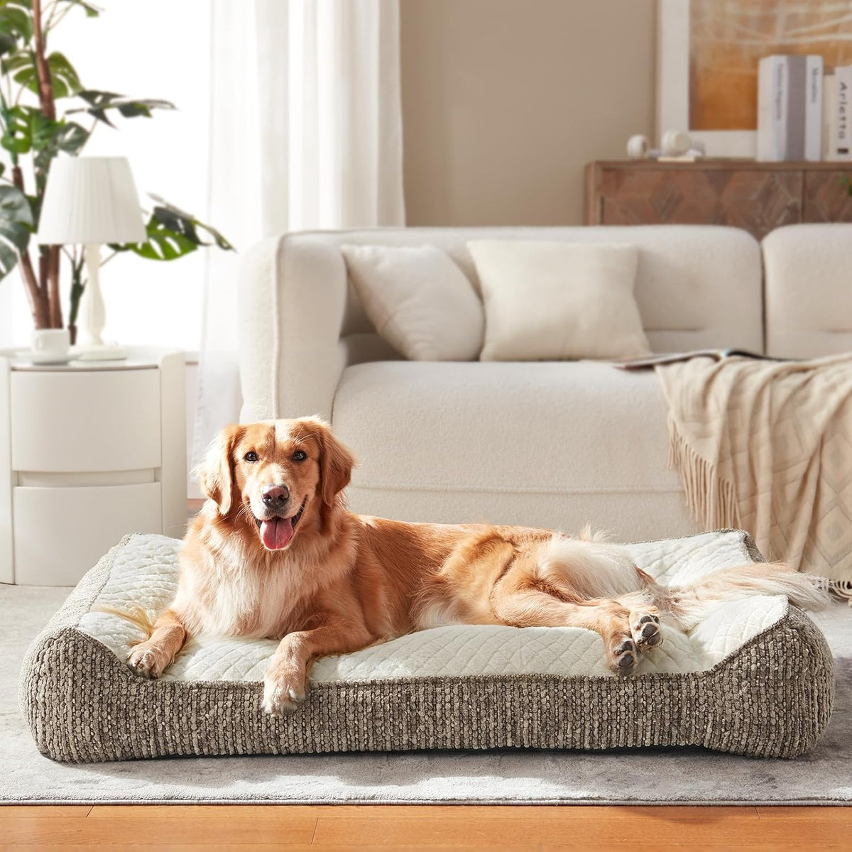 JOEJOY XL Orthopedic Dog Beds Large Size Dog, Extra Thick Big Dog Couch Bed