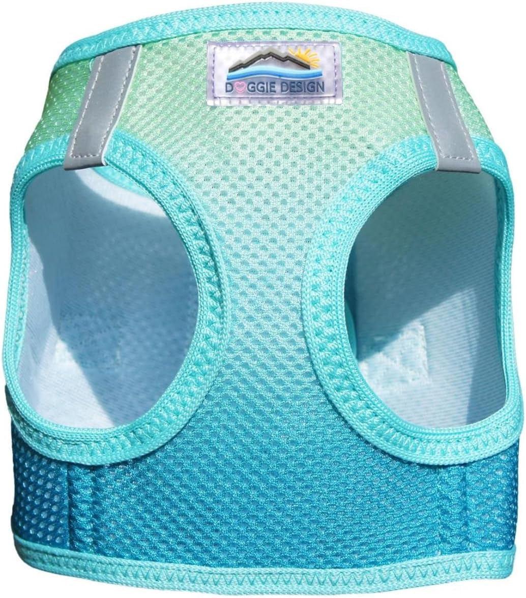 No Choke Dog Harness - Simple Step-In and Go Dog Vest for Small, Medium, and Large Breeds - Breathable Mesh Polyester Pet Harness - Aruba Blue - M