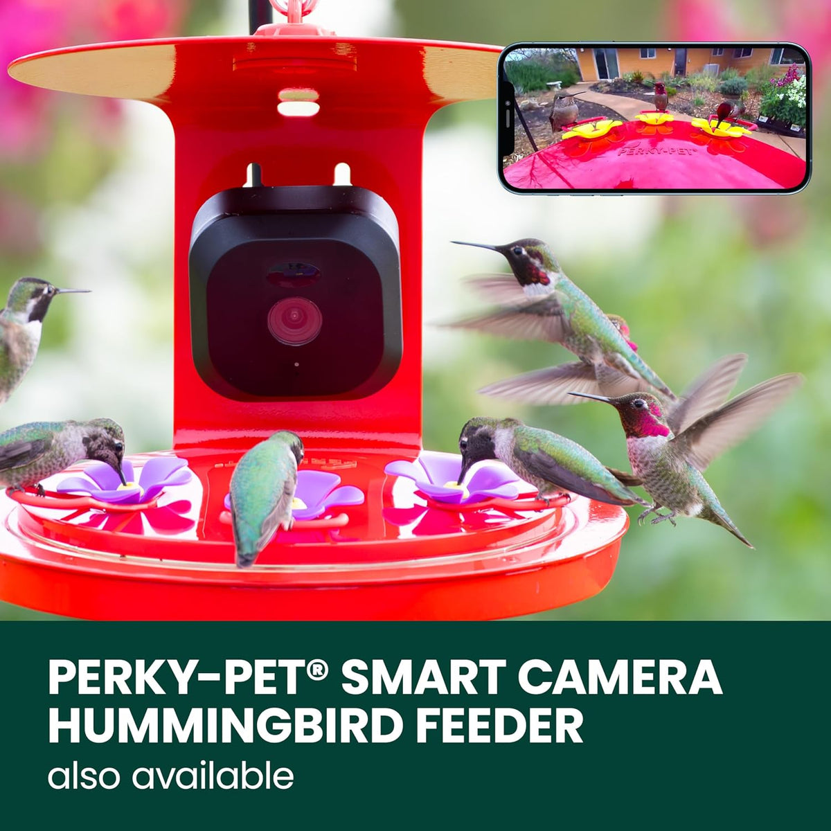 Perky-Pet SPCAM Perky-Pet Smart Bird Feeder with Camera - Squirrel-Resistant, 3.5 Lb Capacity, Motion Activated 1080P HD, Wi Fi, SPCAM - Camera Feeder Gift Idea