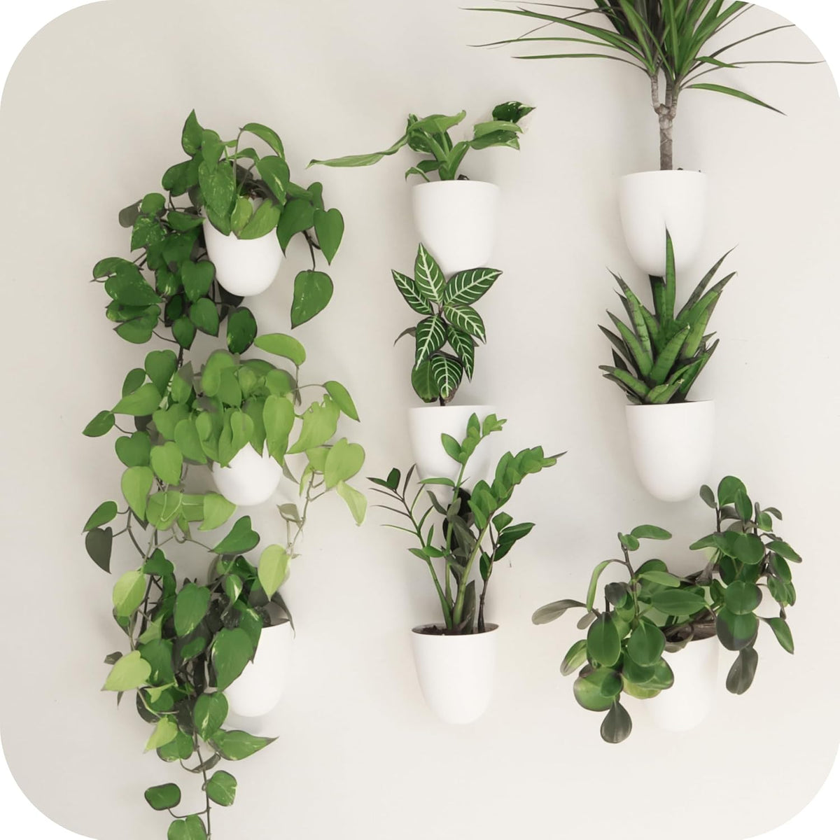 Plantpod Classic - Self-Watering Wall Planters (9, White) - Easy to Water and Install - Lightweight - Design Your Own Vertical Garden - Wall Planters for Indoor Plants