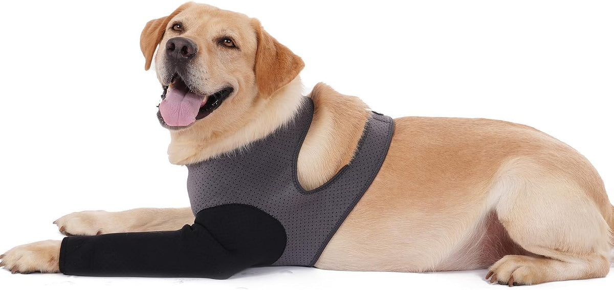 Dog Recovery Sleeve, Dog Recovery Suit, Abrasion Resistant Sleeve Front Leg, Washable 2.5Mm Thick and Breathable, Pet Wounds Prevent Licking, Bite (Large, Grey-Black)