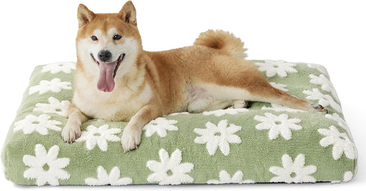 LE SURE Dog Beds Large Sized-Thick Shredded Chopped Foam Pet Bed Indoor as Bed Gift with Removable Cover, Cute Modern Fuzzy Plush & anti Slip Bottom, Green