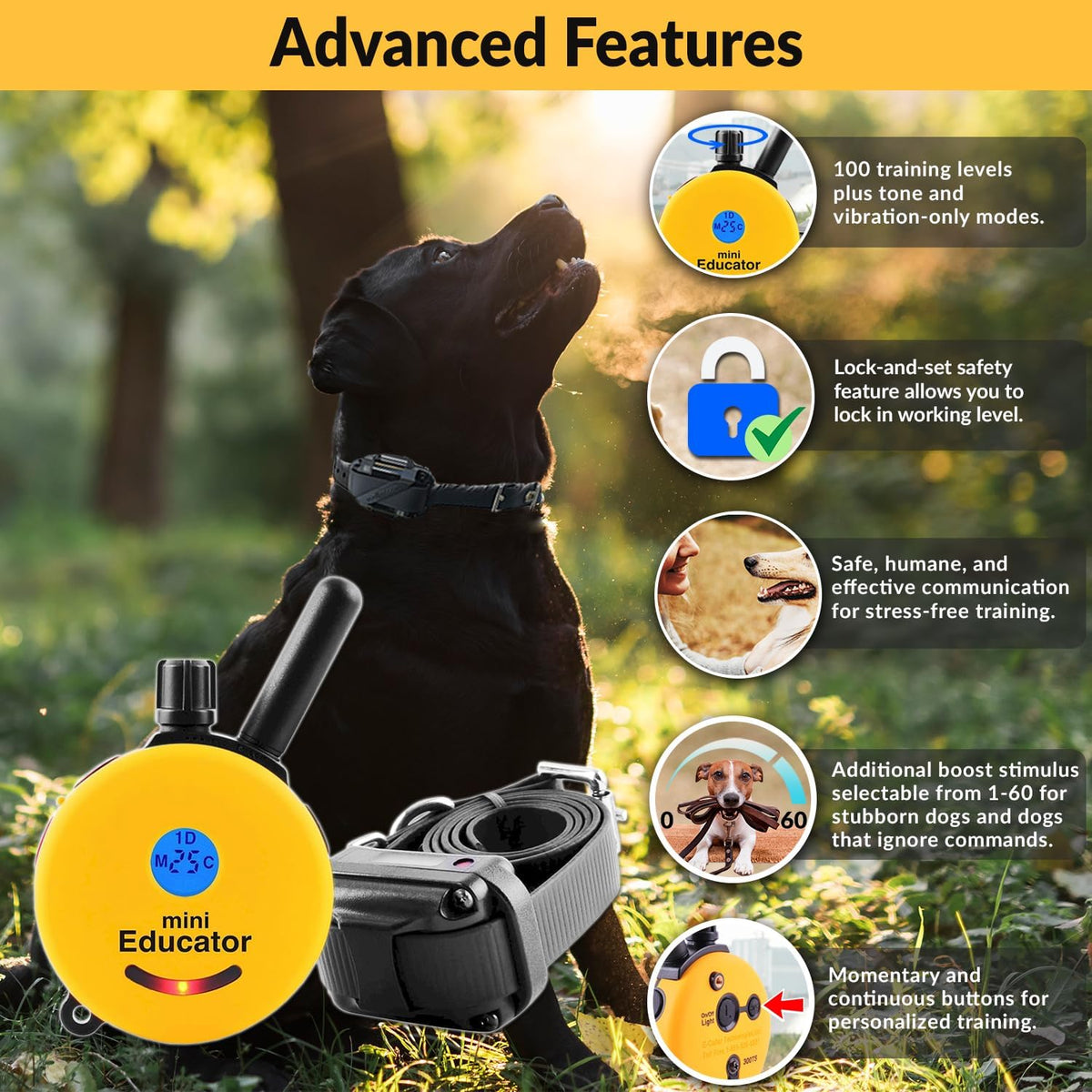 E-Collar ET-300 Mini Educator Dog Training Collar & Finger Clicker, Yellow