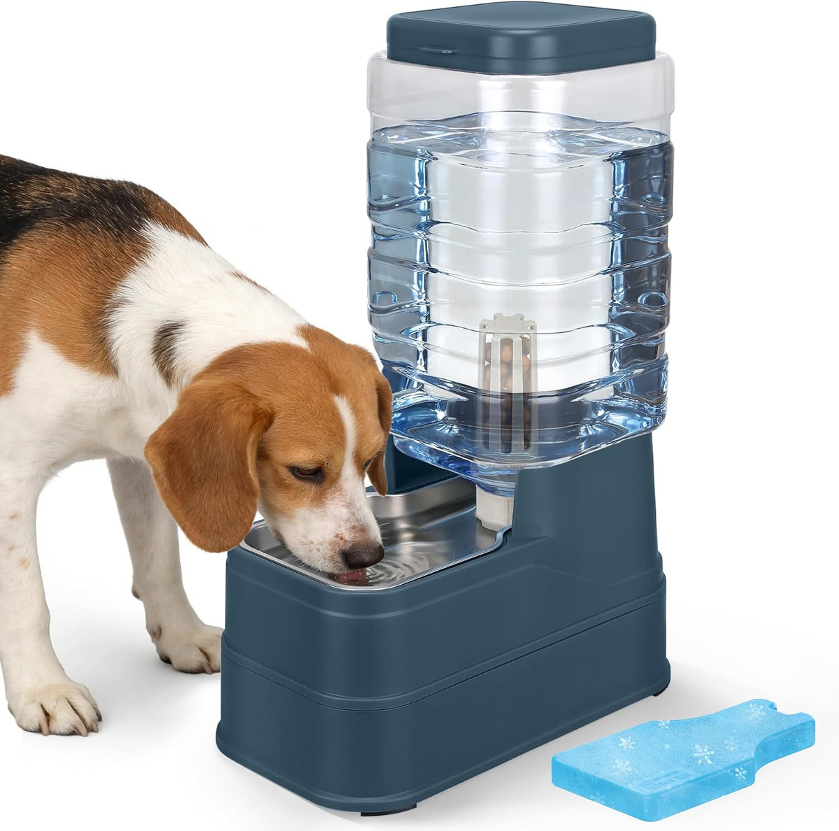 Auto Dog Water Dispenser with Stainless Steel Bowl Feeder for Pets