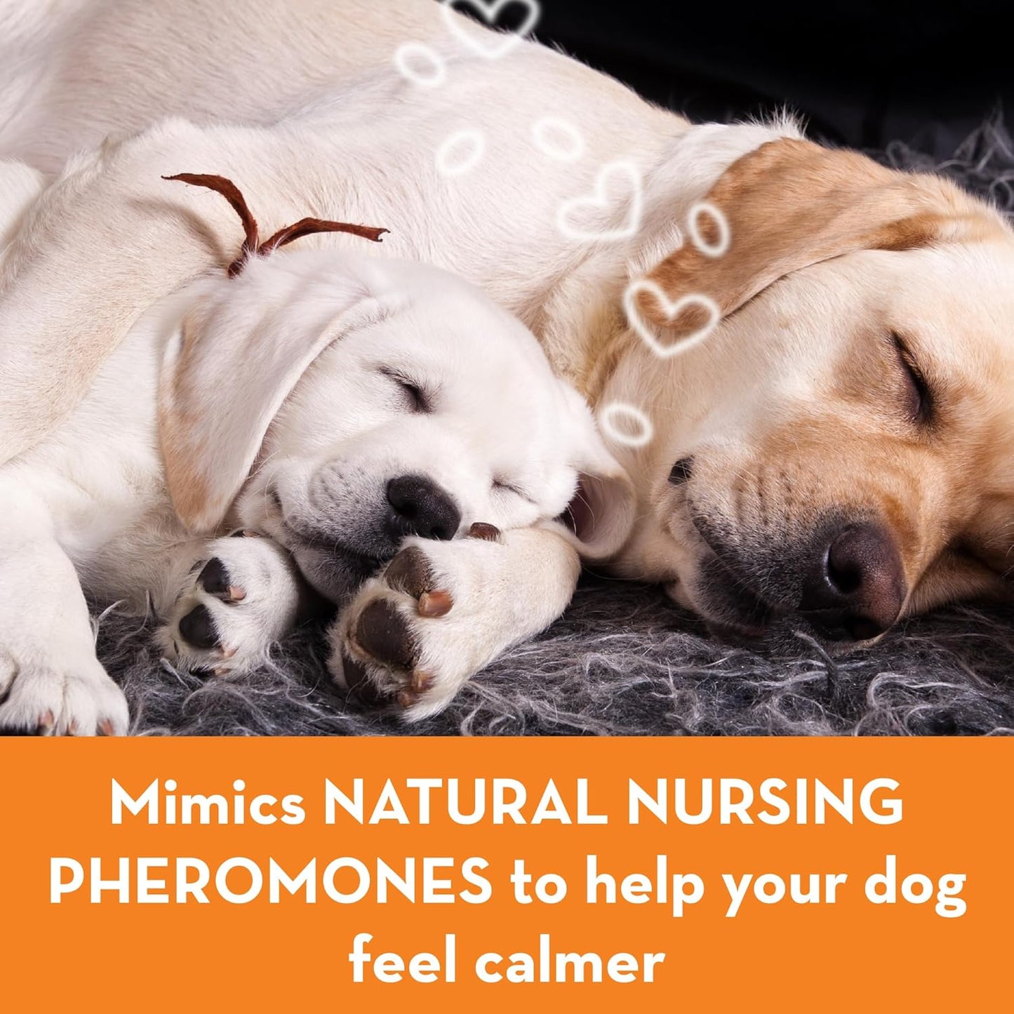 Thunderease Calming anti Anxiety Pheromone Collar for Dogs (Large)