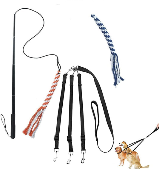 ASOCEA Dog Extendable Teaser Wand with 3 Dog Leash Pet Flirt Stick Pole Puppy Chasing Tail Interactive Toy for Small Medium Large Dogs Training Playing Exercise