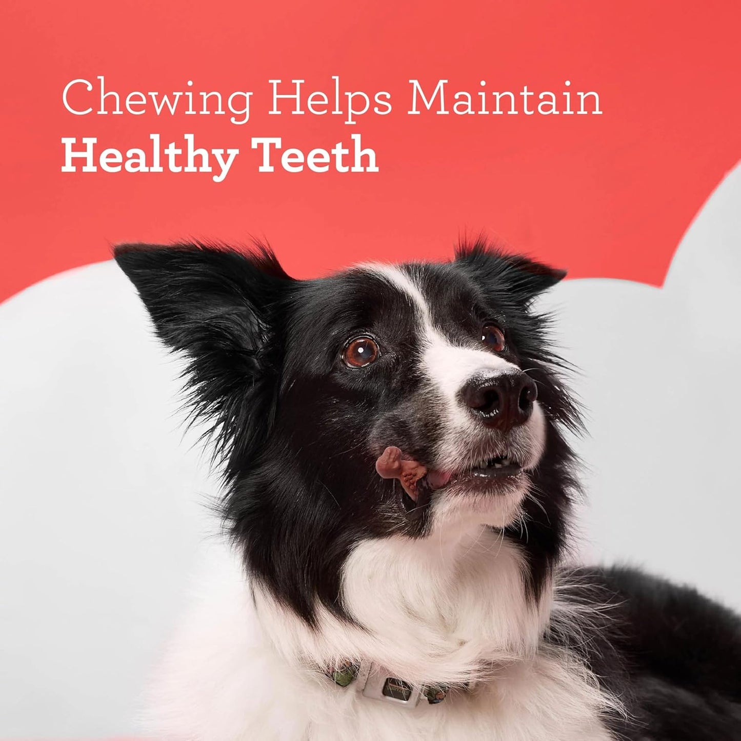 Dreambone Novelty Shaped Chews, Treat Your Dog to a Chew Made with Real Meat and Vegetables