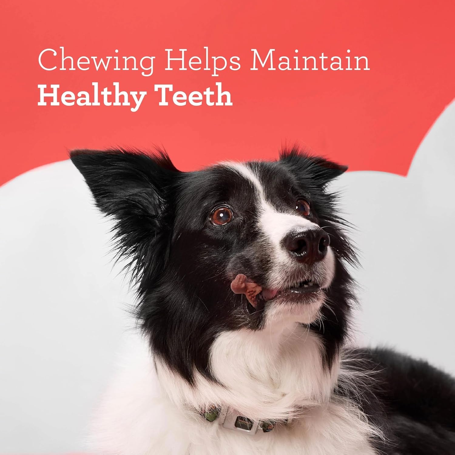 Dreambone Novelty Shaped Chews, Treat Your Dog to a Chew Made with Real Meat and Vegetables