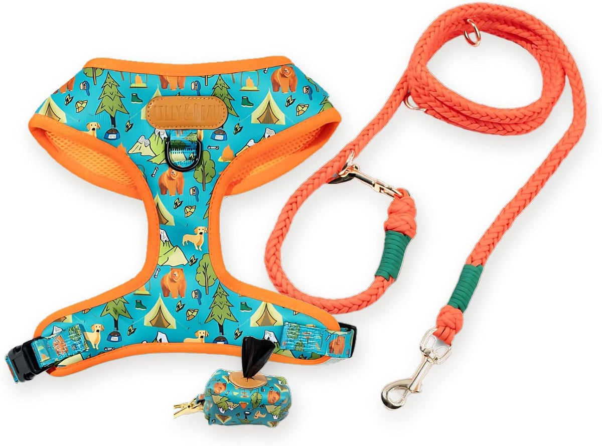 LILLY & BEAU No Pull Dog Harness and Leash Set for French Bulldogs, Escape Proof Frenchie Harness with Front Clip, Soft Padded Reflective Vest for Small and Medium Dogs, Blue