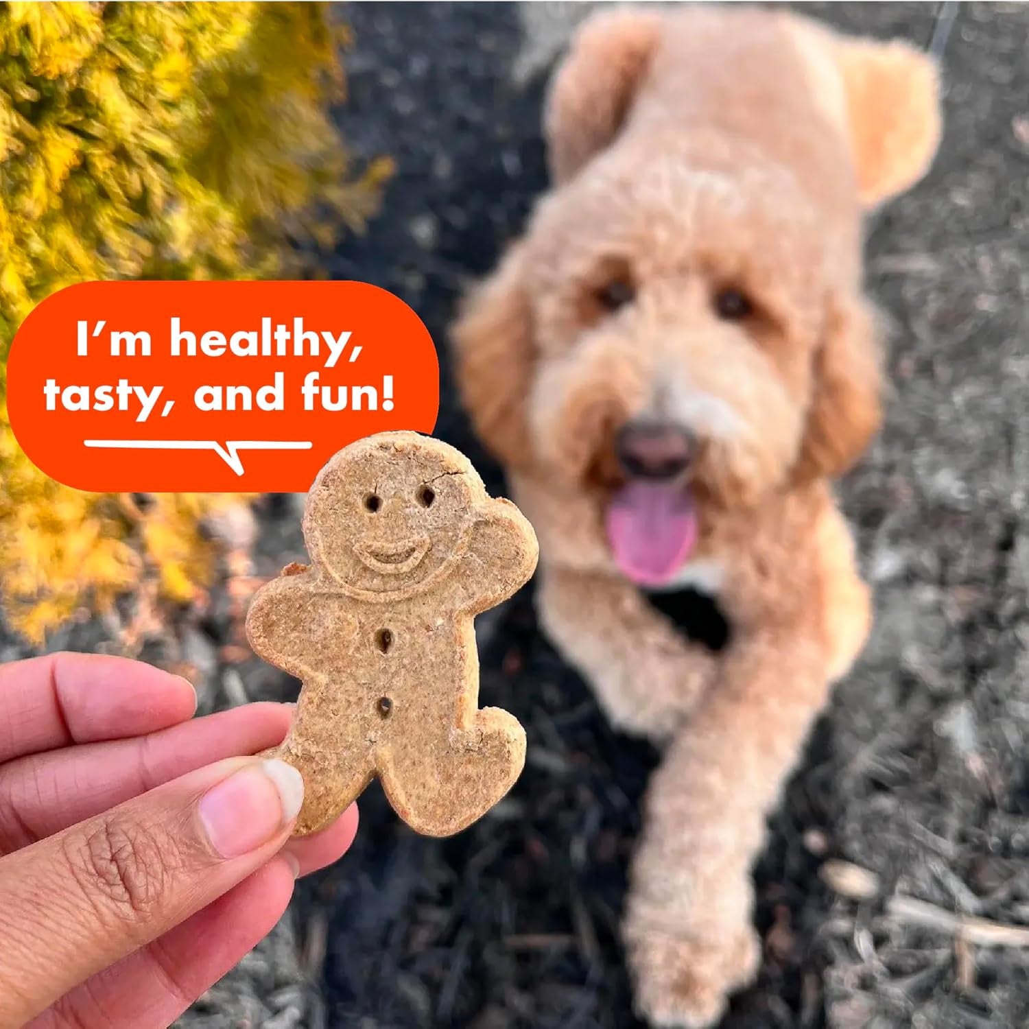 Buddy Biscuits Crunchy Dog Treats, Peanut Butter, 16 Oz. Box