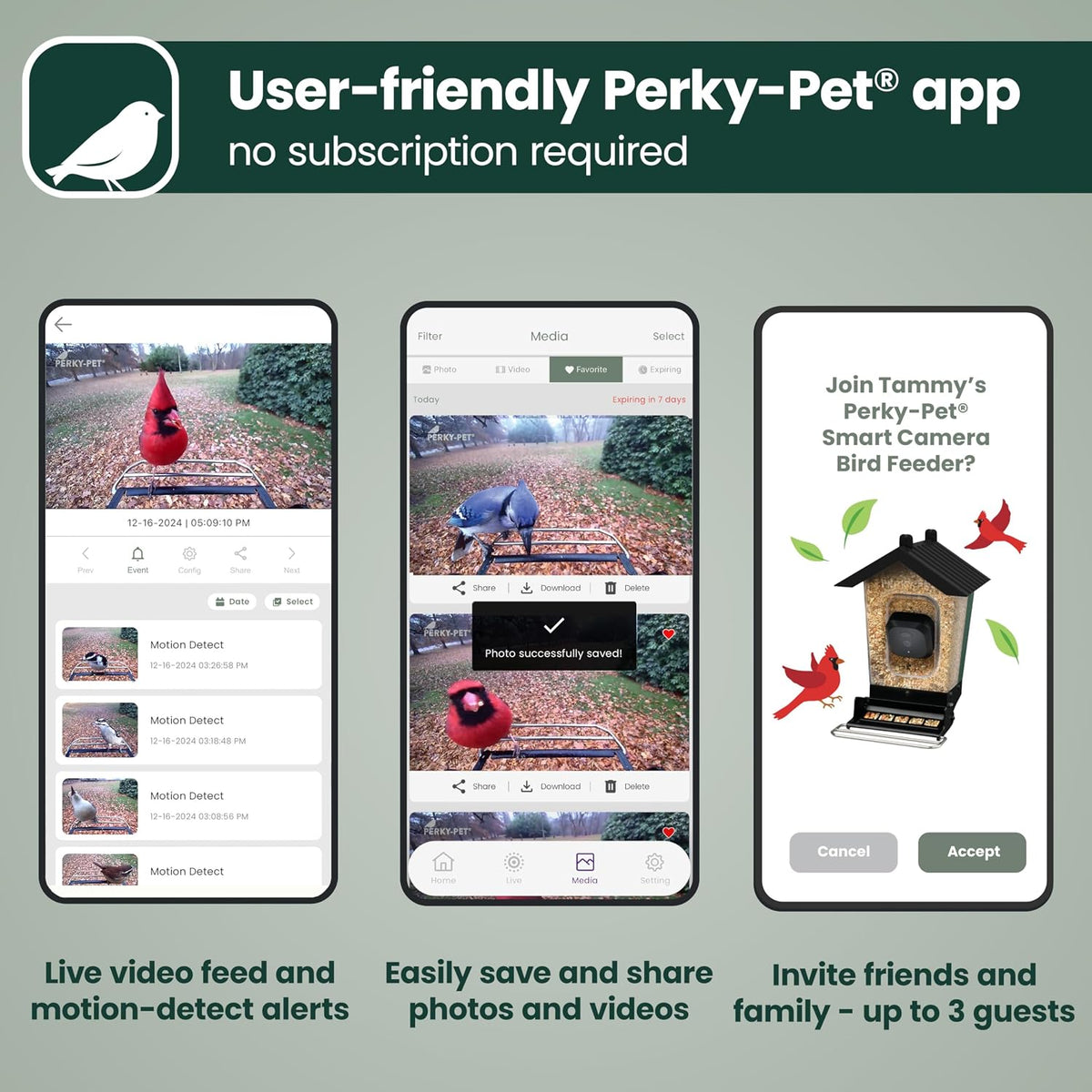 Perky-Pet Solar Powered Smart Bird Feeder with Camera, 3.2L Capacity