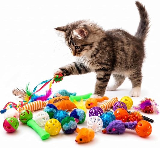 Kitty Catnip Toys- 30 Interactive Cat Toys for Indoor Cats & Kittens – Crinkle Balls, Sparkle Pom Pom Balls, Spiral Springs, Cat Mice, Teaser Wand, Kitten Toys, Cat Accessories - Variety Pack