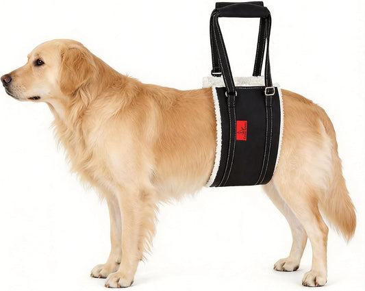 Dog Lift Harness - Cover Geny Adjustable Sling for Rear Legs with Soft Support for Senior, Injured, Disabled Dogs after ACL Surgery - Helping Pets with Canine Aid and Rehab Support (XL)