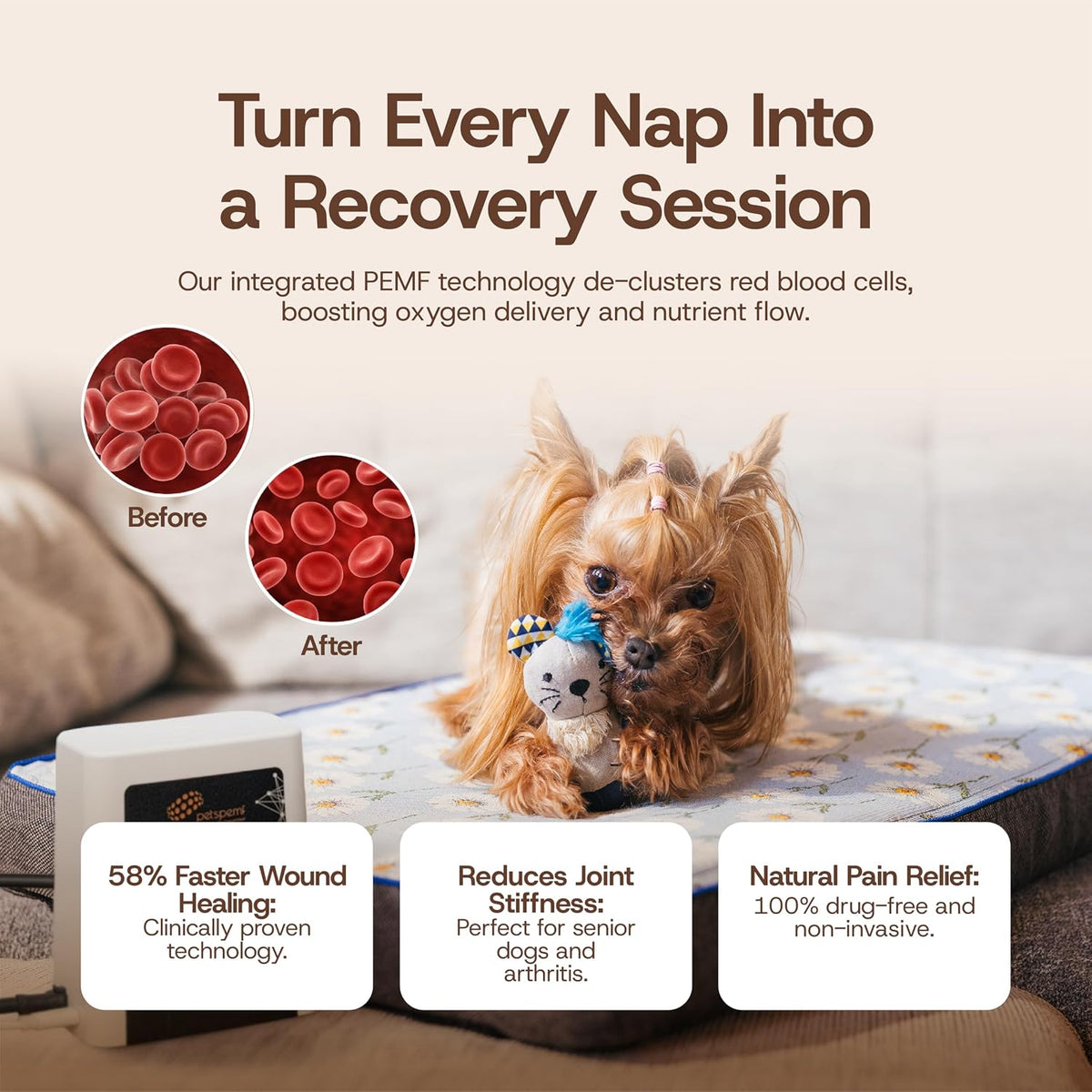 Rollnrest Therapeutic PEMF Dog Bed – Orthopedic Cooling Memory Foam Bed for Dogs with Joint Support & Recovery, Elara Cover, Medium 35.4" X 23.6"