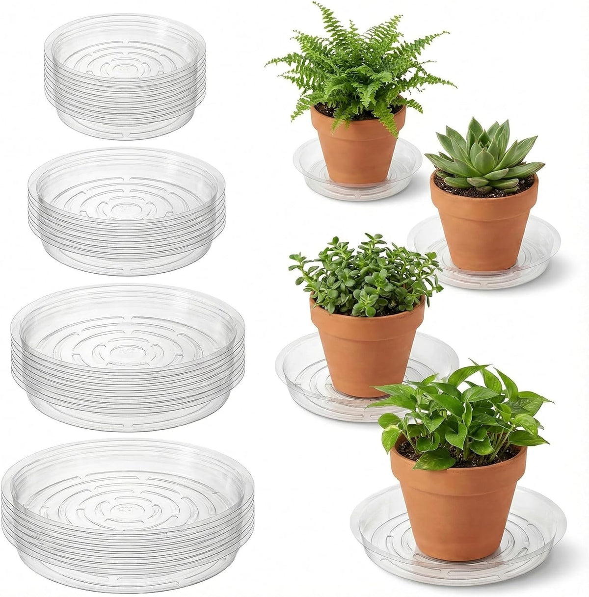 Kingrol 40 Pack Plant Saucers for Pots, 4 Sizes Plant Drip Trays (6/8/10/12 Inch), Lightweight Flexible PET Plant Pot Saucer for Indoor Outdoor Plants, Clear Flower Pot Tray