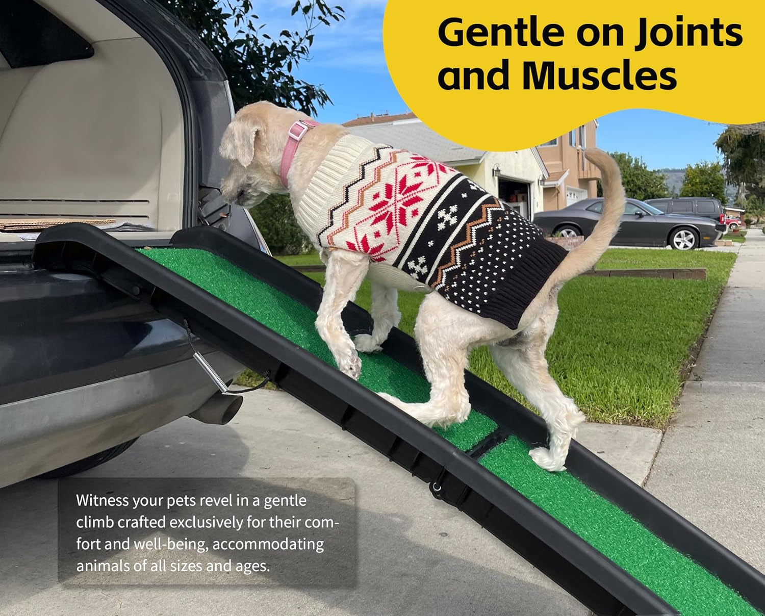 Pawstep 50894 Pet Ramp for Dogs & Cats – Foldable Portable Dog Ramp with Poly Grass Non-Slip Surface, Lightweight Travel Ramp for Cars, Suvs, Beds & Couches