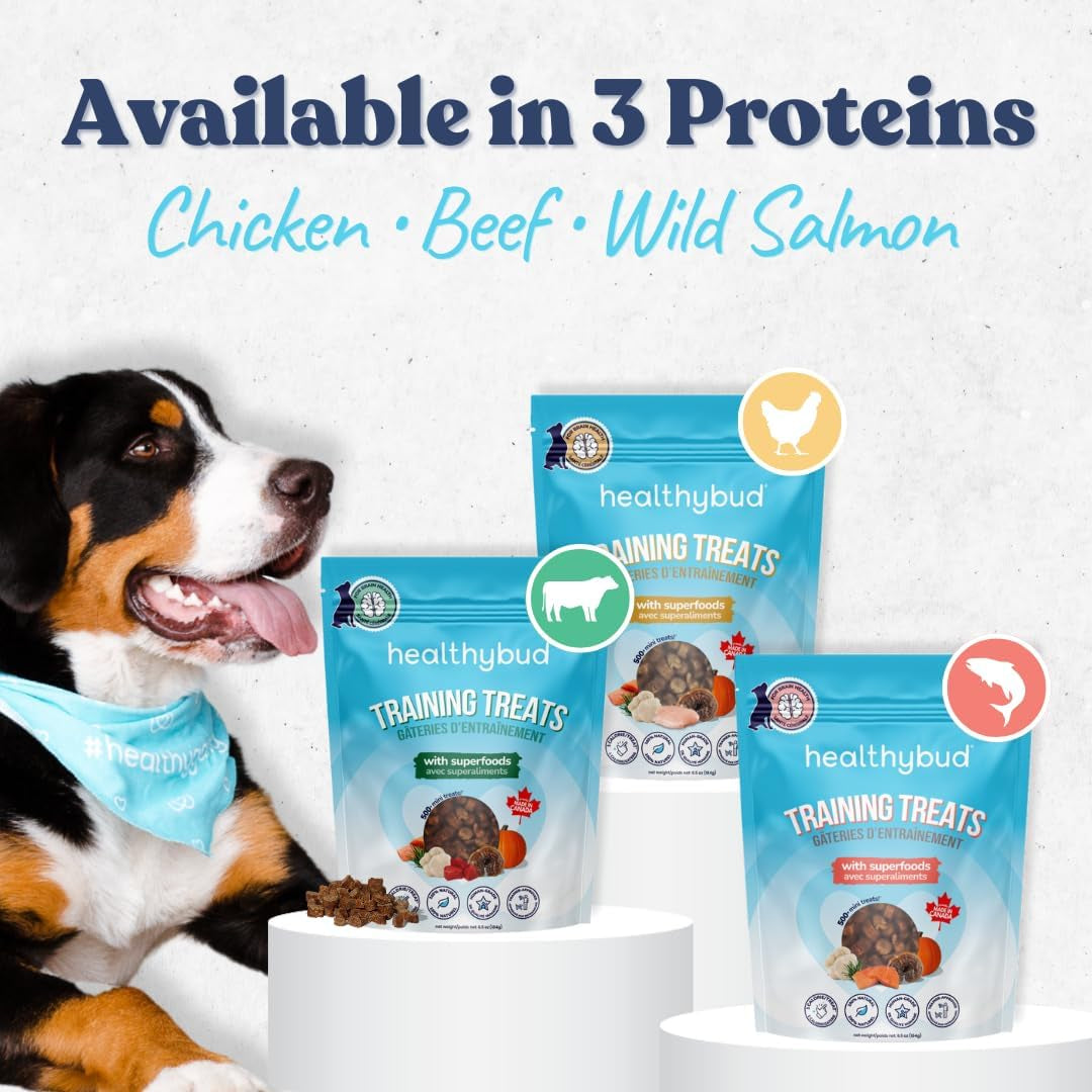 Healthybud Mini Salmon Dog Training Treats – Soft Low Calorie Bites (1 Kcal Each) – 500+ Tiny Rewards for Puppies & Small Dogs – Salmon Oil, Lion’S Mane & Reishi – Grain Free – Made in Canada – 6.5 Oz