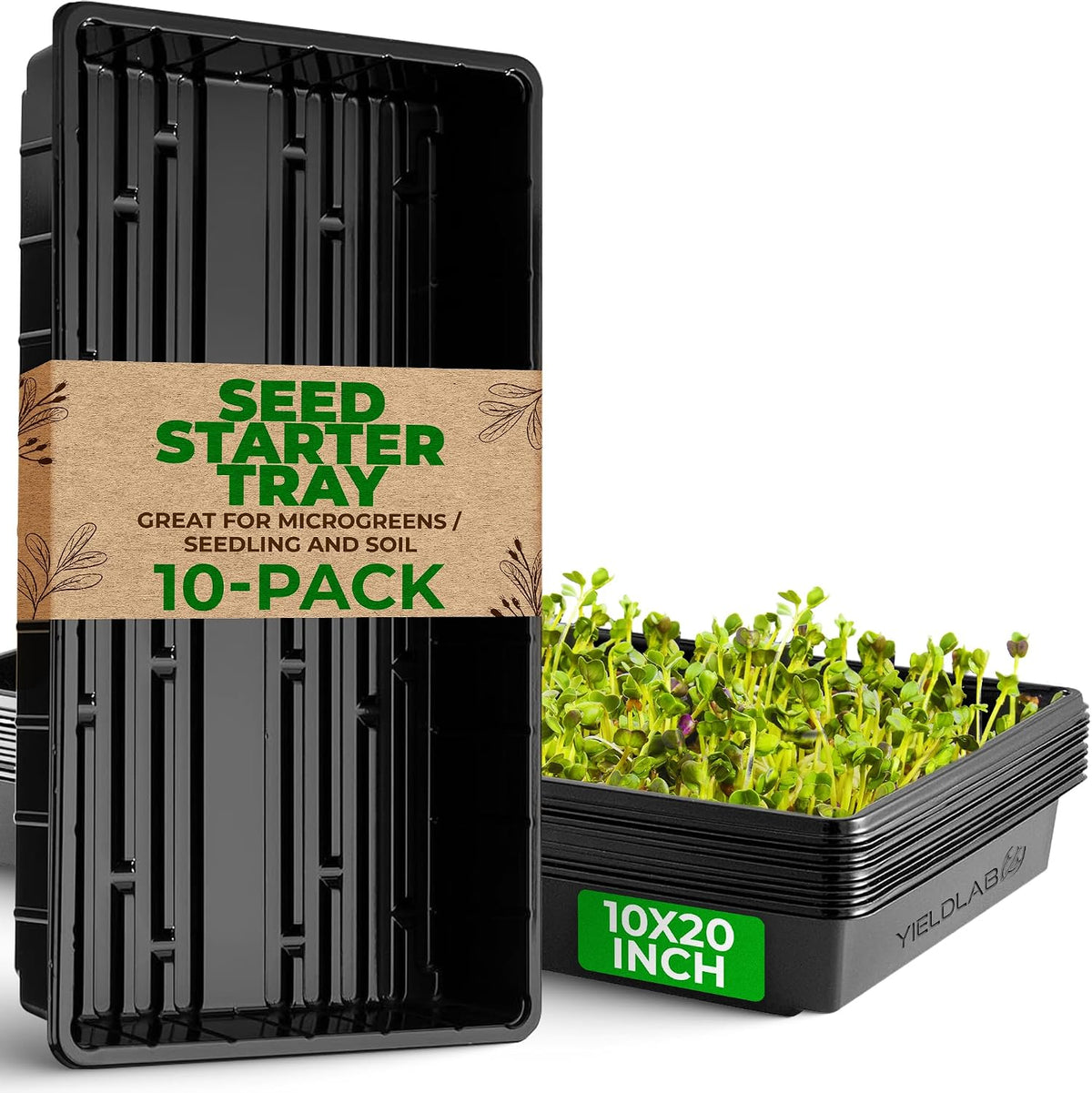 10X20 Inch Black Plastic 10 Pack Plant Propagation Tray No Holes