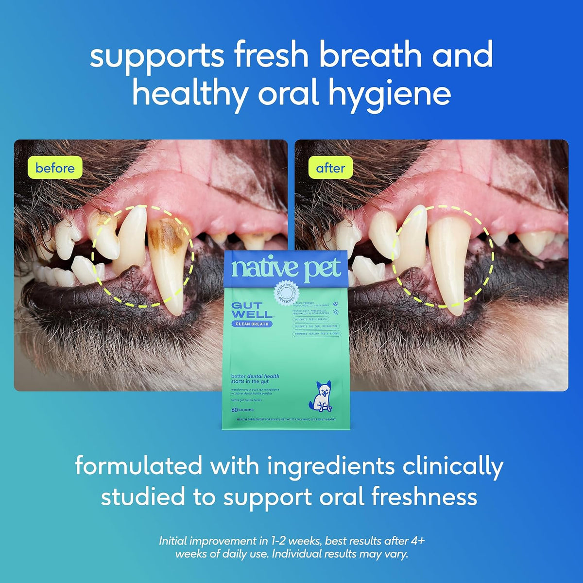 Native Pet Clean Breath Dog Dental Care - Teeth Cleaning for Fresh Breath, Clean Teeth & Healthy Gums - Tartar and Plaque Remover - Dog Breath Freshener - 60 Scoops