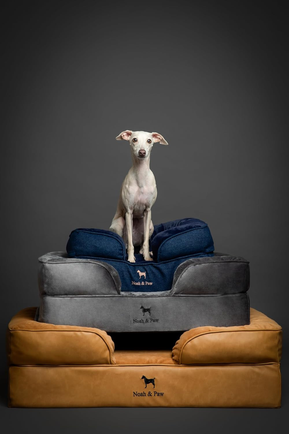 NOAH & PAW XL Dog Bed, 45X35X11 Inch, Orthopedic Large Dog Beds, Eggshell Memory Foam Infused with Cooling Gel, Inner Cover, Water Resistant, Machine Washable (Velvet Sofa Collection)