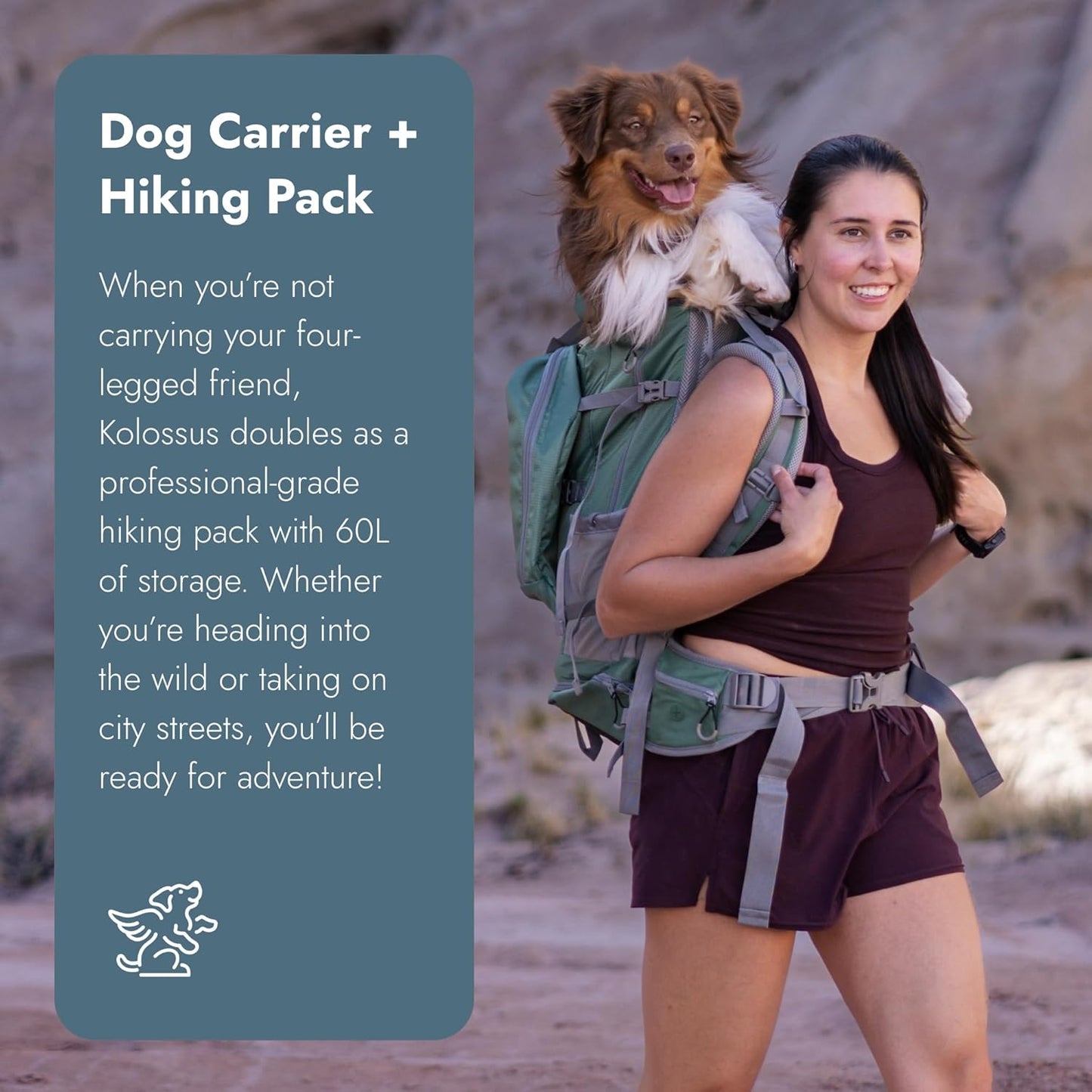 K9 Sport Sack Kolossus - XXL, Black - the Big Dog Backpack - Ideal for Dogs 26-29” Long - Fully Adjustable Pet Carrier - Doubles as a Professional-Grade 60L Hiking Pack