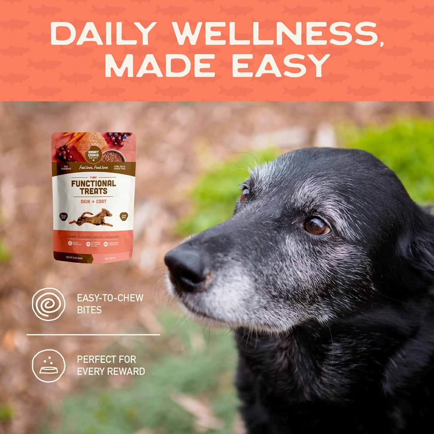 Smart Cookie All Natural Dog Treats - Healthy Skin & Coat Salmon Dog Treats - Ideal for Sensitive Stomachs or Itchy, Allergic, Dry Skin - Dehydrated, Crunchy, Human-Grade, Made in USA - 8Oz, Pack of 1