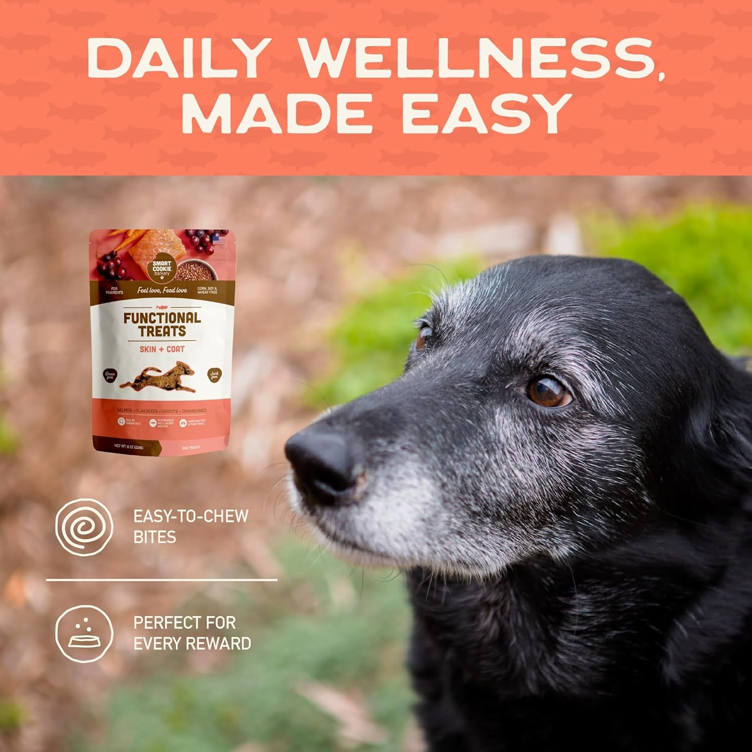 Smart Cookie All Natural Dog Treats - Healthy Skin & Coat Salmon Dog Treats - Ideal for Sensitive Stomachs or Itchy, Allergic, Dry Skin - Dehydrated, Crunchy, Human-Grade, Made in USA - 8Oz, Pack of 1