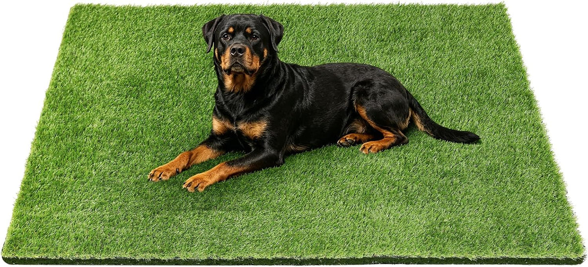 48" X 32" Premium Artificial Grass Mat for Dogs Cats