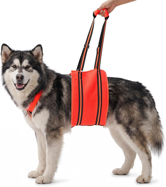 Pawsay Adjustable Dog Sling for Large Dogs Hind Leg Support with Neck Strap