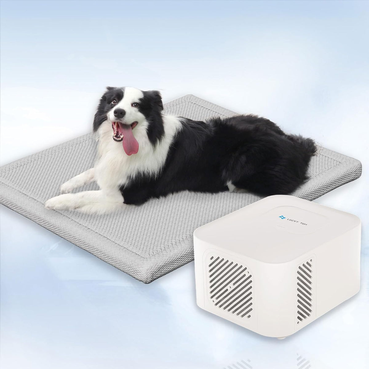 Pet Pad Cooling System for Summer, Consistent Cooling Water Mat for Dogs and Cats, No Refrigeration or Chemical Gel Needed, Machine Washable Bed, Ideal for Home and Crates (Light Gray, L)