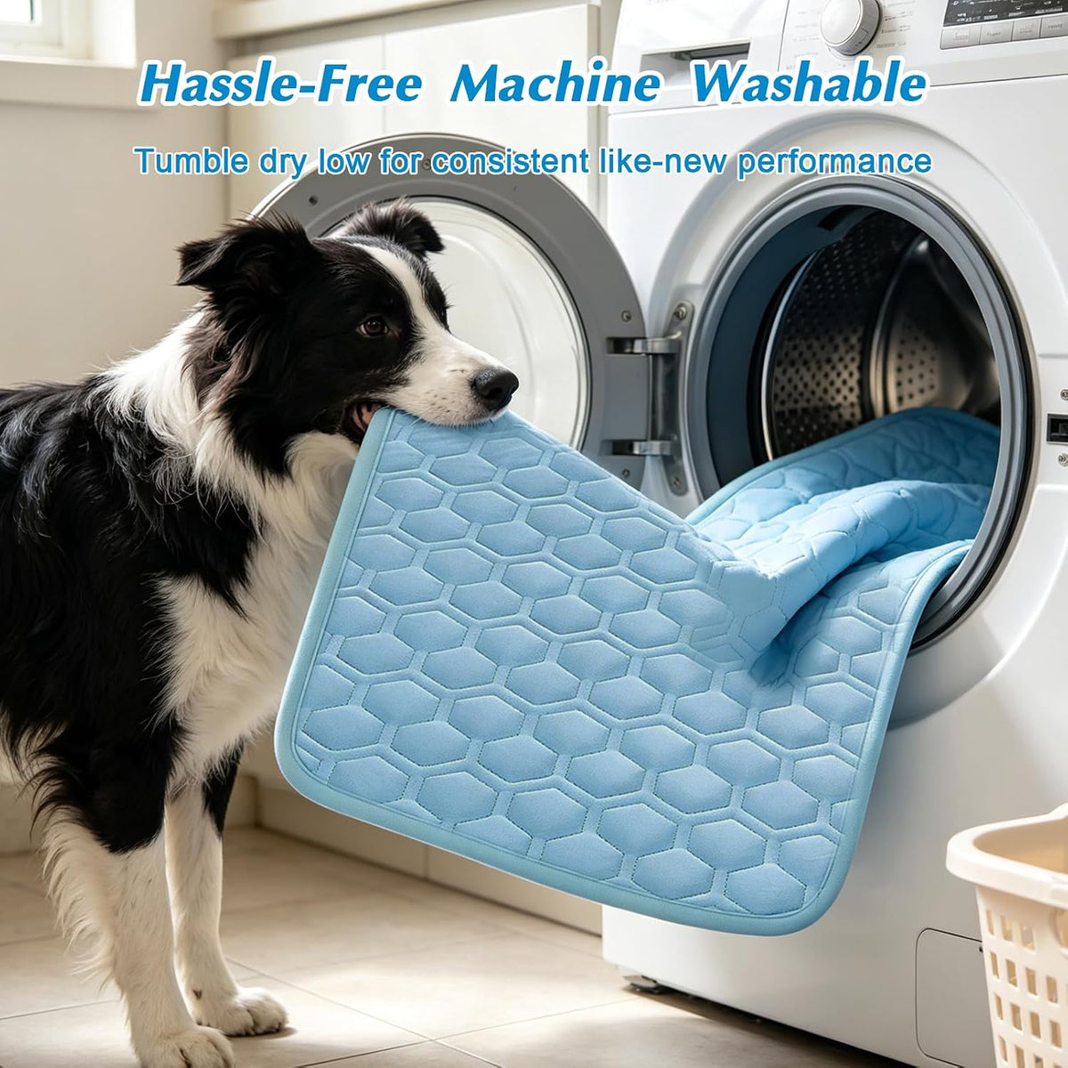 Self Cooling Arc-Chill Fabric, Non-Slip Pet Cooling Mat for Dogs Cats